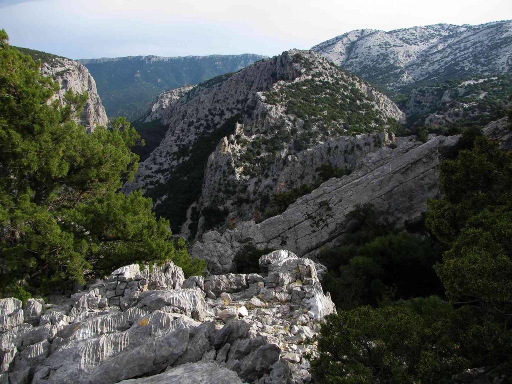 B&B Luce Viola Dorgali Kültér fotó